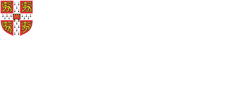 Cambridge International Education, Cambridge International School