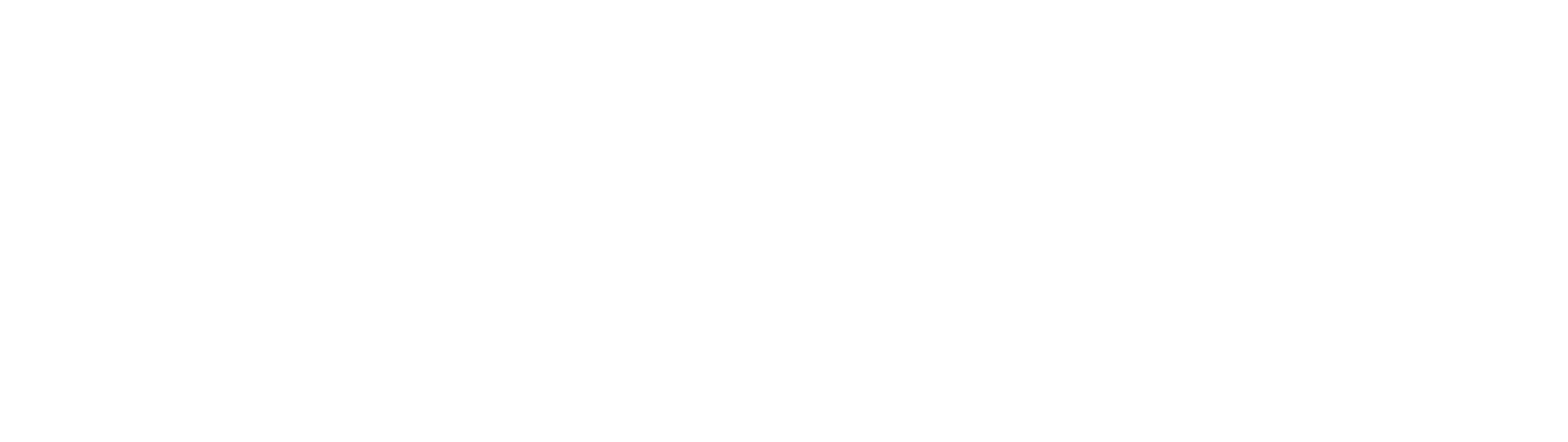 PORTMAN International School brand mark