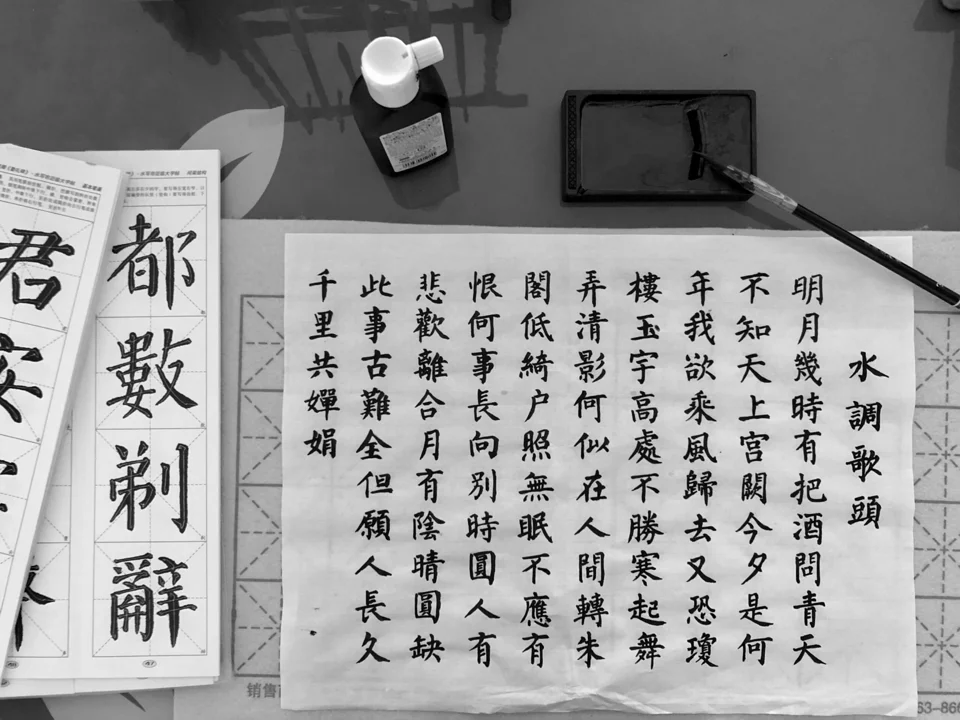 Chinese as a Second Language subject illustration